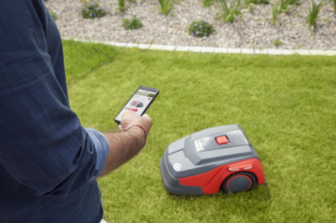 Robot koszący AL-KO Robolinho 700 W Robot koszący AL-KO Robolinho 700 W