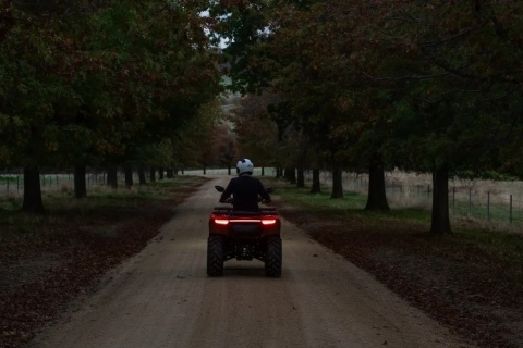 Quad CFMOTO CFORCE 520